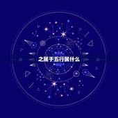 之属于五行属什么，李字五行属什么？
