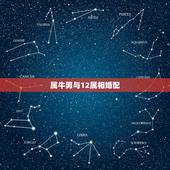 属牛男与12属相婚配，属牛的属相婚配表，属牛的和什么属相最配，12生肖