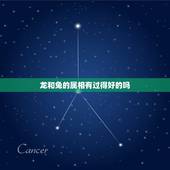 龙和兔的属相有过得好的吗，属兔和属龙的在一起就是不好吗