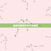 属鼠和属蛇的合不合婚姻，属蛇男婚配属马女的好不好呢