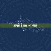 属马的水瓶座2022运势，水瓶座2021年运势如何