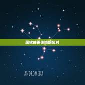 属猪的更佳婚姻配对，九五年属猪的婚姻配对