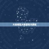大连地区大型贵宾犬婚配，巨型贵宾犬有什么缺点？