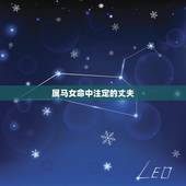 属马女命中注定的丈夫，90年属马女马女的和什么属相最配