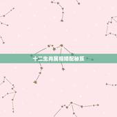 十二生肖属相婚配秘笈，十二属相婚配秘笈马和蛇配吗
