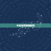 牛和龙的婚姻配吗，牛和龙属相配