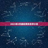 2023年3月最旺男孩名字小名(热门宝宝起名趋势分析)