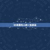 85年属牛人的一生命运 85年属牛人2022年财运