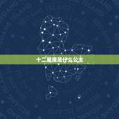 十二星座是什么公主，十二星座代表的公主？