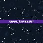 巴西龟死了是扔河里还是埋了，乌龟死了 该怎么安葬啊