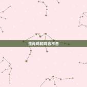 生肖鸡和鸡合不合，和鸡不合的生肖