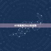 87年属兔2022年运势，87年农历三月二十二属兔的今年运势