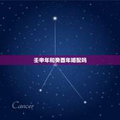 壬申年和癸酉年婚配吗，壬申年生剑锋金命男和癸酉年生剑锋金命女在一起好吗