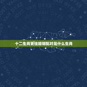 十二生肖更佳婚姻配对是什么生肖，最准的12生肖配对表