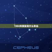 1984年属鼠是什么命运，1984年属鼠人的命运，星座？