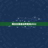 陶白白星座运势查询2022 最准确的2022年星座运势
