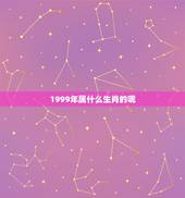 1999年属什么生肖的呢，1999年，是属什么生肖年