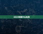 2023年属什么生肖，2023年五行属什么