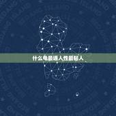 什么龟最通人性最粘人，哪种乌龟通人性有灵性？