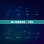 2000年属龙和属什么相配，2000年属龙男和属龙女相配吗