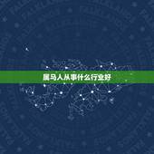 属马人从事什么行业好，1990年属马人2016年做生意行吗？