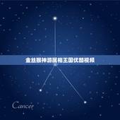 金丝猴神游属相王国优酷视频，东方国龙与谁合作推出了108集大型系列动画