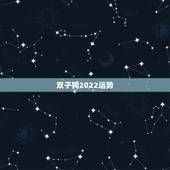 双子狗2022运势，双子座2021年每月运势