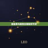 属鼠男与属狗女婚配好不好，属鼠男和属狗女相配吗？