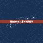 属猪的婚配对象什么属相好，属猪的和属什么的好