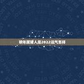 明年属猪人是2022运气怎样，2007年属猪2022年学业