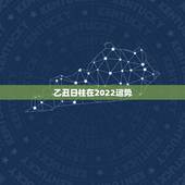 乙丑日柱在2022运势，不同日柱看2022年壬寅年运势