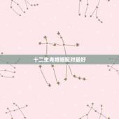 十二生肖婚姻配对最好，十二生肖婚姻配对大全？
