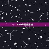 2000年婚配属相，属龙的和什么属相最配 属龙人的婚配表