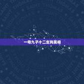 一母九子十二生肖属相，九子连环指十二生肖中的什么动物