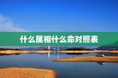 什么属相什么命对照表，属马的是什么命及五行相关表