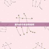 属牛的今年运势如何，属牛的73年的今年运势怎么样