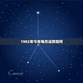 1982年今年每月运势如何，1982年属狗白羊座今年每月运势