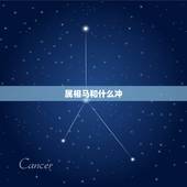 属相马和什么冲，属马相冲相害有几个属相
