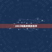 2022年属虎男孩名字 2022年属虎名字宜用字