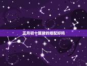 正月初十属猪的婚配好吗，女是属猪正月初十和男属马腊月27相配吗
