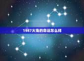 1987火兔的命运怎么样，1987年火兔命是什么意思