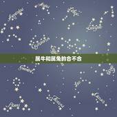 属牛和属兔的合不合，属牛的和属兔的能配合吗