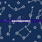 属鼠的和属鼠的相配吗，属鼠和属鼠相配吗