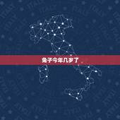 兔子今年几岁了，属兔子的今年几岁2022
