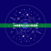 78年属马人2022年运势，2022年生肖属马人流年运程