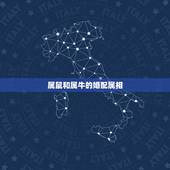 属鼠和属牛的婚配属相，属牛的和什么属相最相配 12属相婚配表