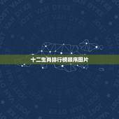 十二生肖排行榜顺序图片，十二生肖排序图