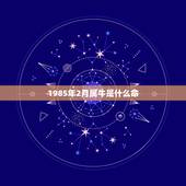 1985年2月属牛是什么命 85年属牛37岁有一灾