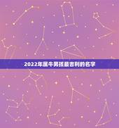 2022年属牛男孩最吉利的名字，属鼠吉利乳名男孩