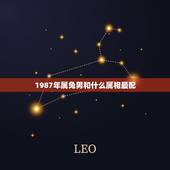 1987年属兔男和什么属相最配，87年的男兔什么时候适合婚配